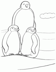 A penguins family