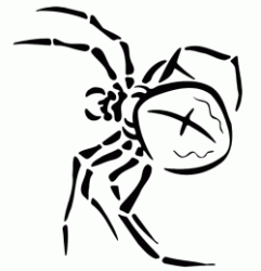 A poisonous spider
