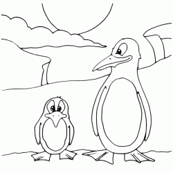 A tall penguin and a low penguin