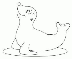 A very funny seal