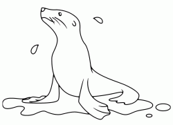 A wet seal
