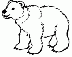 A white bear