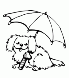 Dog with umbrella