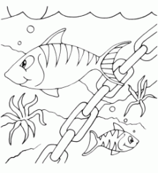 Fishes swim near a chain on the seabed