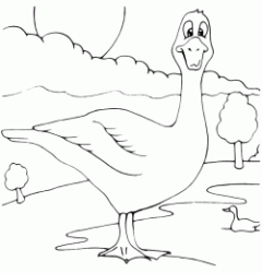 Goose near a pond