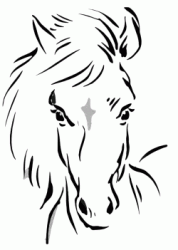 Horse head