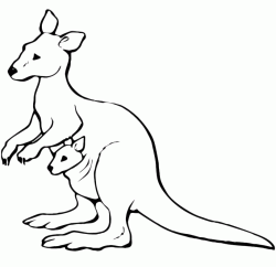 Kangaroo with her puppy