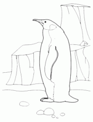 Penguin in the ice