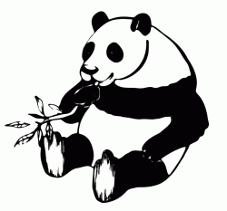 The panda is eating bamboo