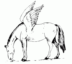 Winged horse