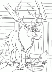 The reindeer Sven in the barn with a crate of carrots