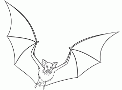 Count Dracula turned into a bat