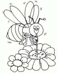 A bee that sucks nectar