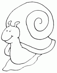 A snail streaks