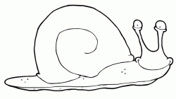 A snail with a sleepy air
