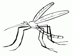 A stylized mosquito