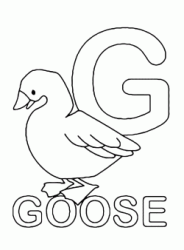 G for goose uppercase letter