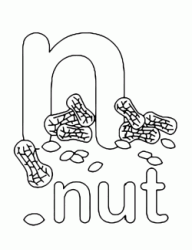 n for nuit lowercase letter