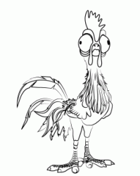 The clandestine rooster HeiHei
