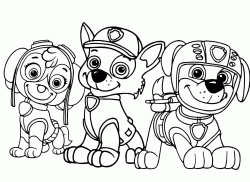  PAW  Patrol  coloring  pages 