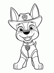 Tracker one of the last members of PAW Patrol