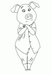 The shy pig Rosita