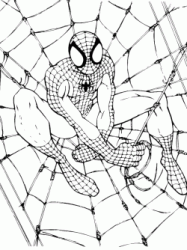 Spiderman waits on spiderweb