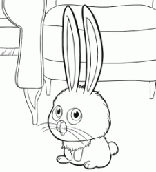 The evil rabbit Snowball