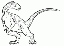 Parksosaurus is an herbivorous dinosaur